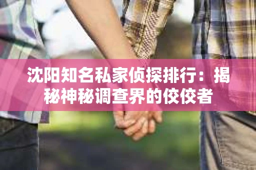 沈阳知名私家侦探排行：揭秘神秘调查界的佼佼者