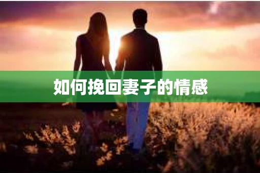 如何挽回妻子的情感