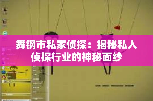 舞钢市私家侦探：揭秘私人侦探行业的神秘面纱