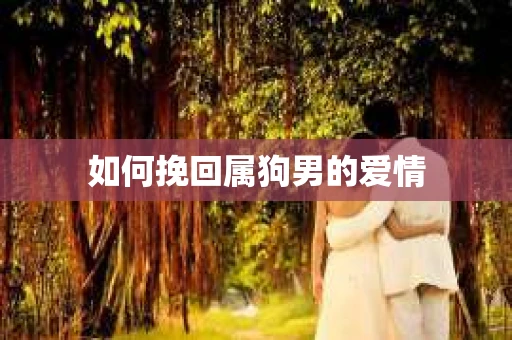 如何挽回属狗男的爱情