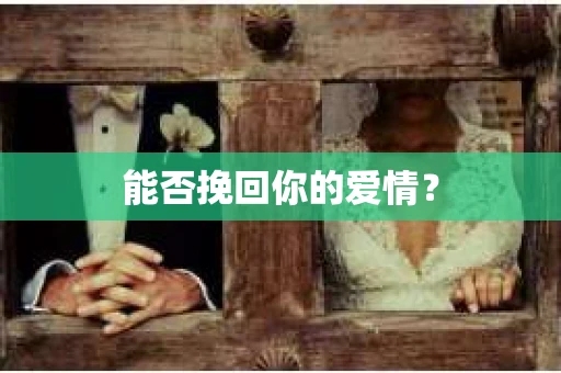 能否挽回你的爱情？