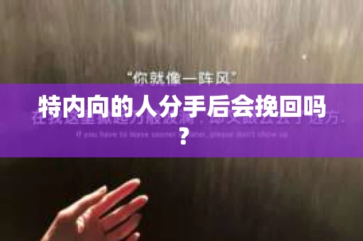 特内向的人分手后会挽回吗？