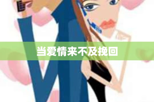 当爱情来不及挽回