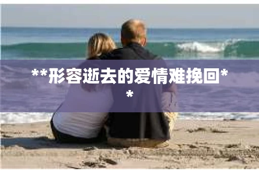 **形容逝去的爱情难挽回**