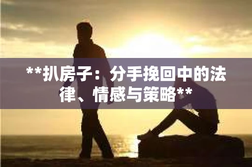 **扒房子：分手挽回中的法律、情感与策略**
