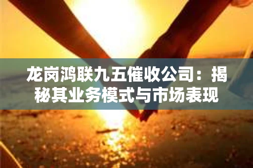 龙岗鸿联九五催收公司：揭秘其业务模式与市场表现