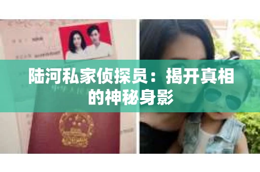 陆河私家侦探员：揭开真相的神秘身影