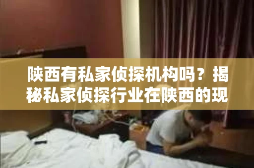 陕西有私家侦探机构吗？揭秘私家侦探行业在陕西的现状与选择