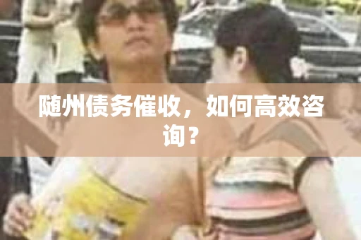 随州债务催收，如何高效咨询？