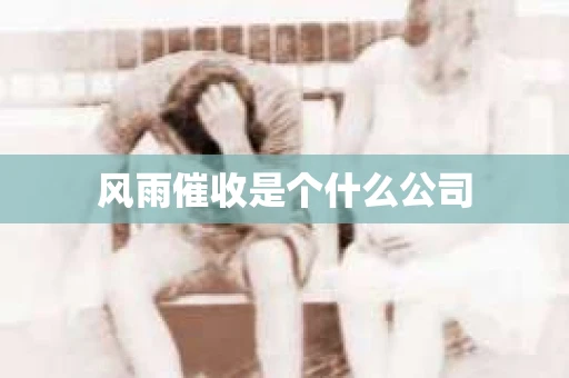 风雨催收是个什么公司