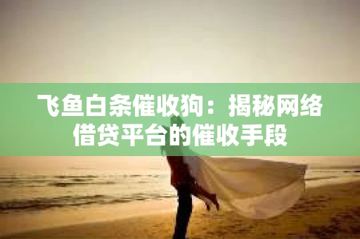 飞鱼白条催收狗：揭秘网络借贷平台的催收手段