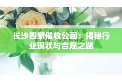 长沙四家催收公司：揭秘行业现状与合规之路