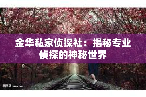 金华私家侦探社：揭秘专业侦探的神秘世界