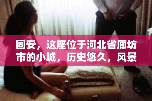 固安，这座位于河北省廊坊市的小城，历史悠久，风景秀丽。然而，随着社会的发展，人们的生活节奏加快，一些问题也随之而来。比如，有些人可能会遇到婚姻纠纷、财产纠纷等问题，这时，私家侦探可能就会成为他们的选择。那么，固安有私家侦探吗？他们现在在哪呢？下面，我就来为大家揭开这个谜团。