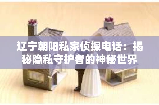 辽宁朝阳私家侦探电话：揭秘隐私守护者的神秘世界
