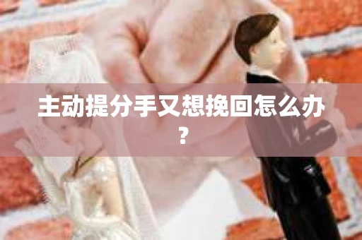主动提分手又想挽回怎么办? 主动提分手又想挽回怎么办?