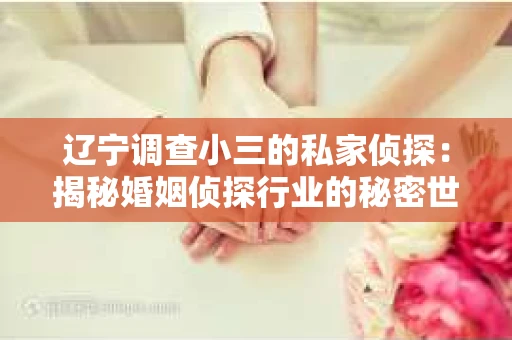 辽宁调查小三的私家侦探：揭秘婚姻侦探行业的秘密世界