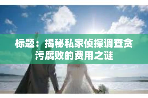 标题：揭秘私家侦探调查贪污腐败的费用之谜