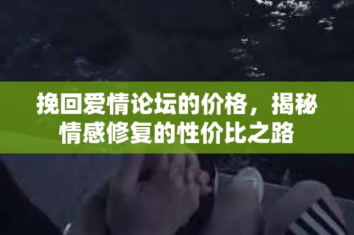 挽回爱情论坛的价格，揭秘情感修复的性价比之路