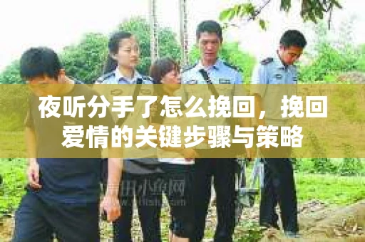夜听分手了怎么挽回，挽回爱情的关键步骤与策略