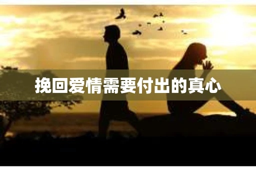 挽回爱情需要付出的真心