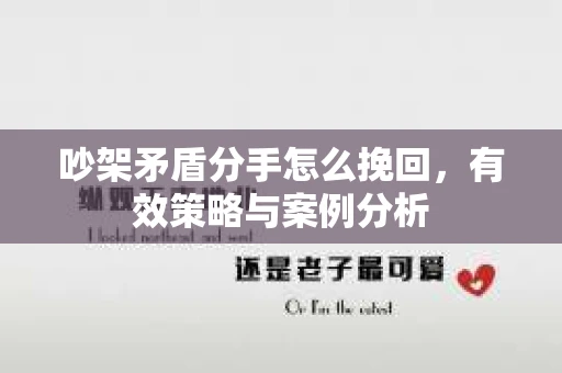 吵架矛盾分手怎么挽回，有效策略与案例分析