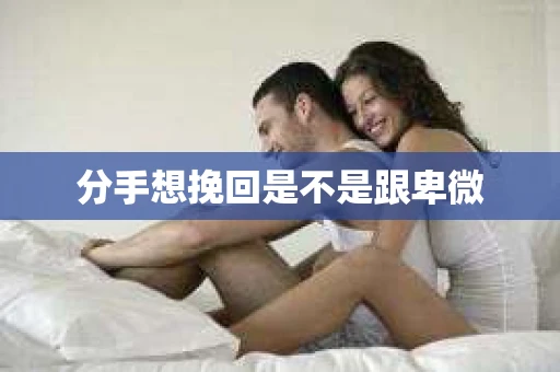 分手想挽回是不是跟卑微