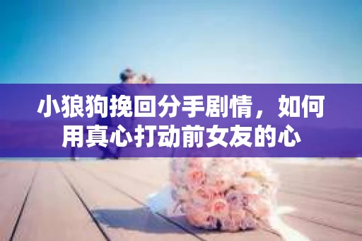 小狼狗挽回分手剧情，如何用真心打动前女友的心