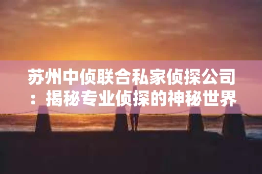 苏州中侦联合私家侦探公司：揭秘专业侦探的神秘世界