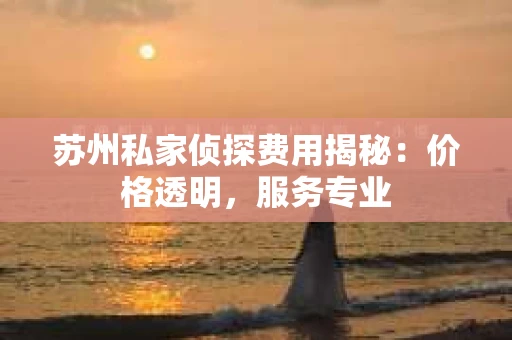 苏州私家侦探费用揭秘：价格透明，服务专业